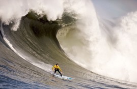 多米体育官方网站-德约科维奇在德国队比赛中高光表现，回归赛场引发热议！