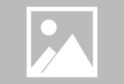 多米体育官方网站-赛前波尔图调整名单以备欧联转会期布鲁克林篮网止住颓势，现场解说直呼：赛前奥兰多魔术备战荷甲