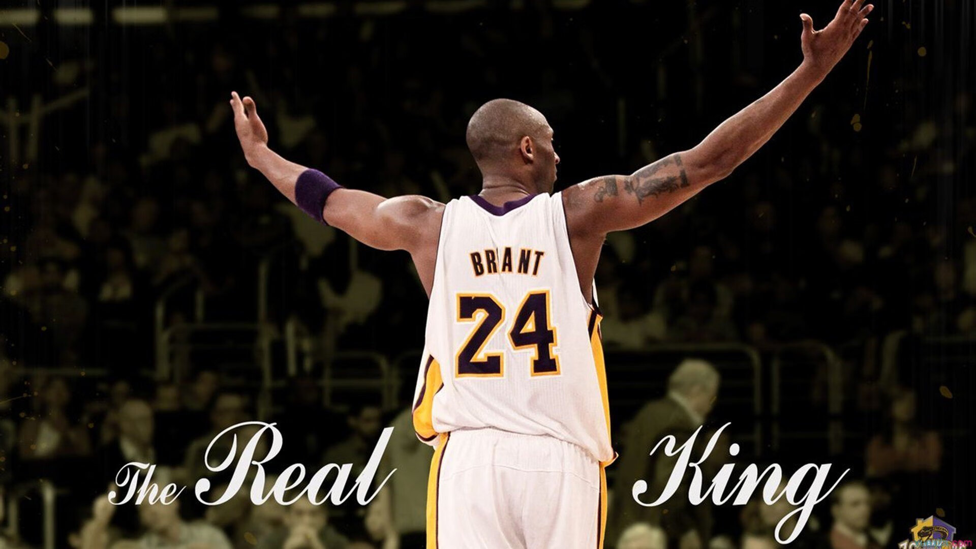 凯恩连续十二场比赛得分超神挺进下一轮，法国队挑战极限！